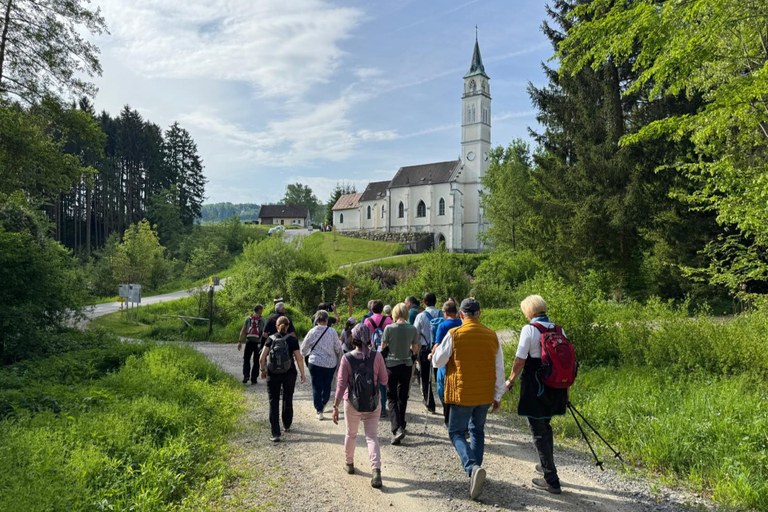 Fotos von der Fußwallfahrt nach Maria Steinparz